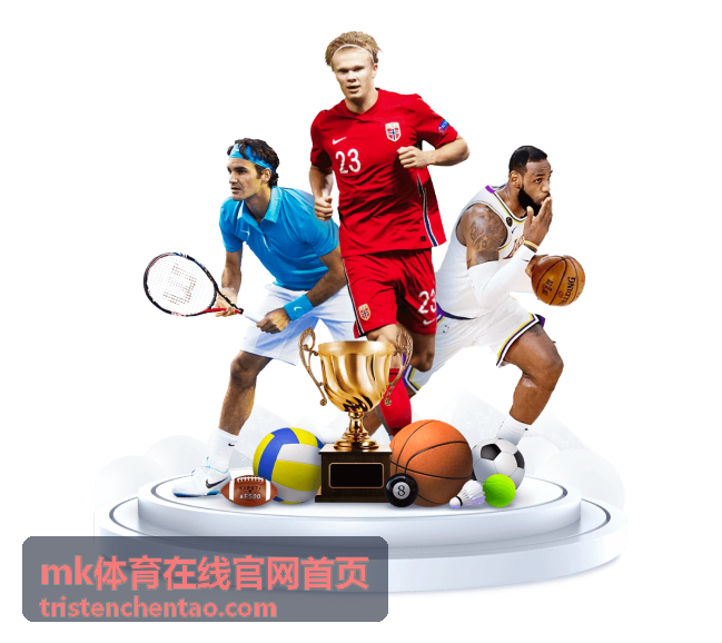 mk体育在线官网首页离线缓存与流量控制界面示意